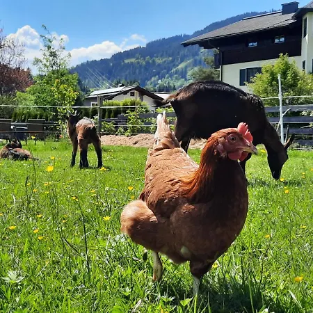 Appartement Wawies *