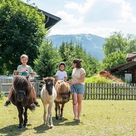 Wawies Апартаменты