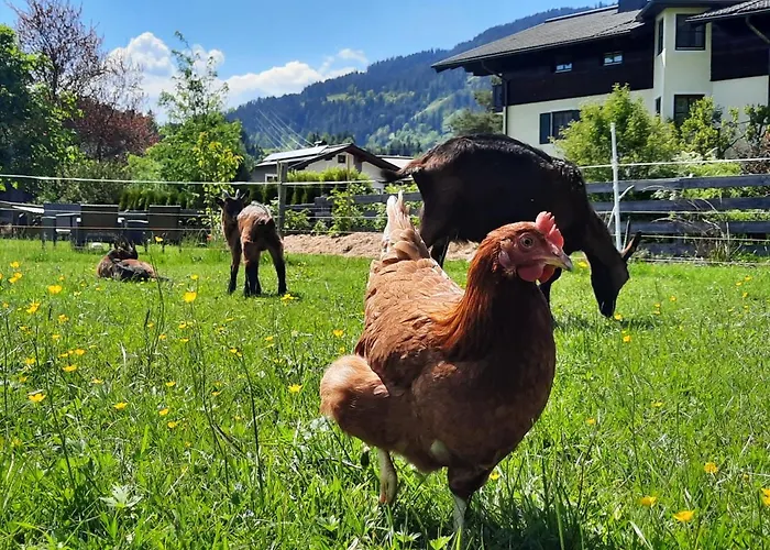 Апартаменти Wawies *