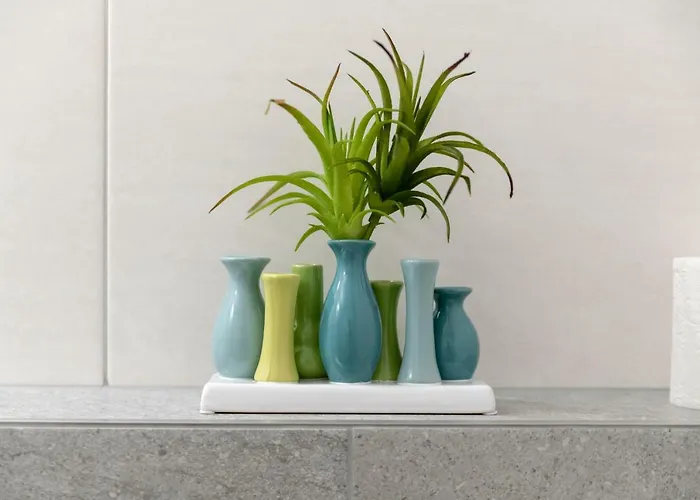 Wawies Апартаменти